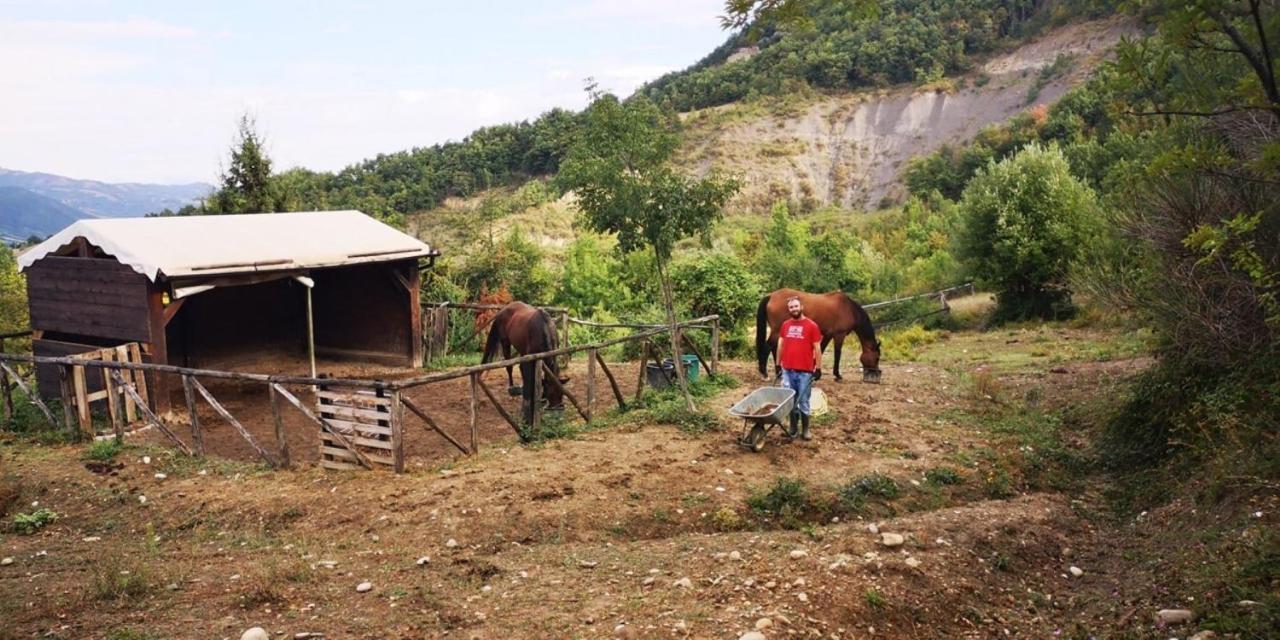 Agricampeggio Ca Di Mazza Monzuno ภายนอก รูปภาพ