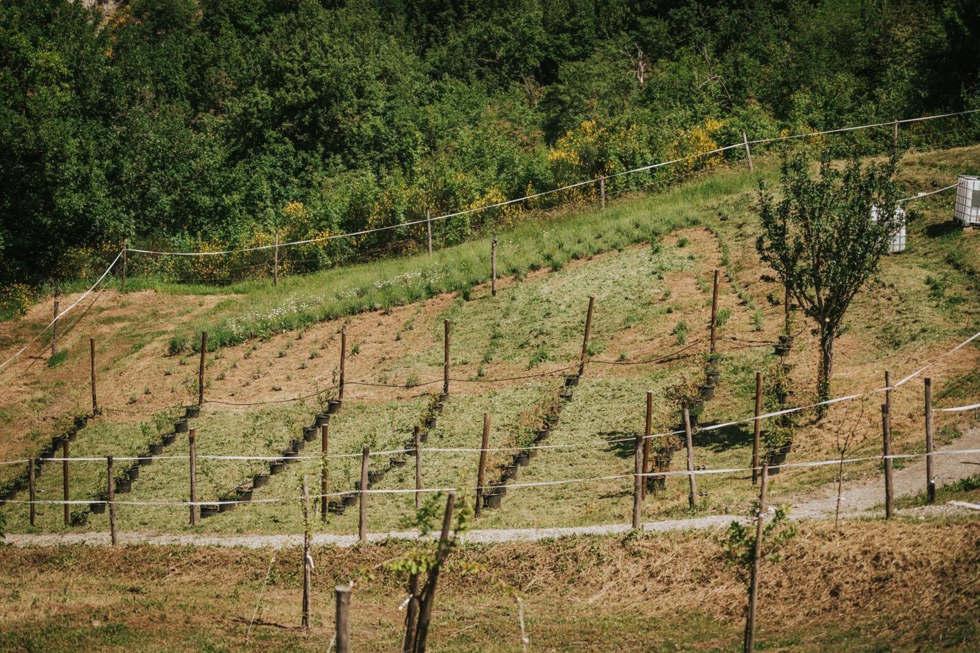 Agricampeggio Ca Di Mazza Monzuno ภายนอก รูปภาพ